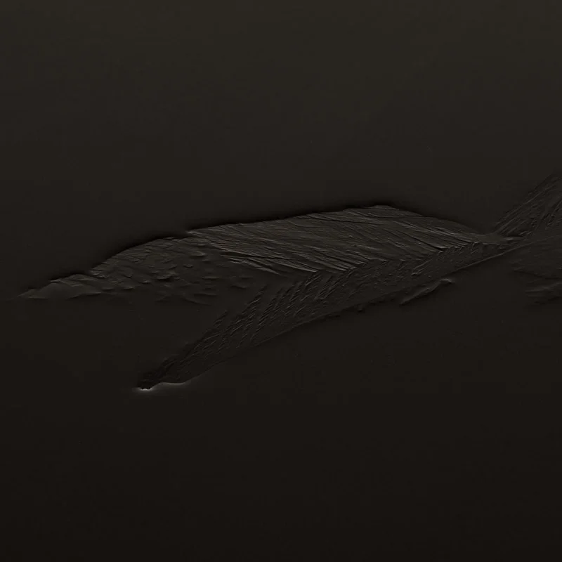 Codex Natura #1 Project Information.