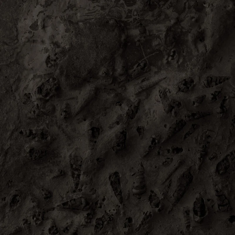 Codex Natura #10 Project Information.