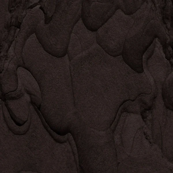 Codex Natura #15