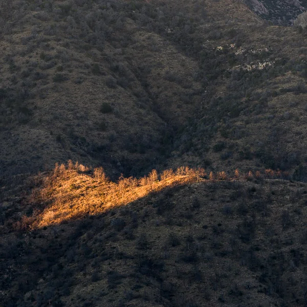 Chiricahua National Monument. I spent many days making photographs along the lines of this one -- I definitely think it has potential for a project.