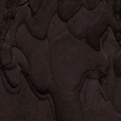Codex Natura #15