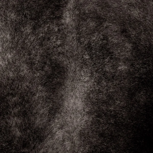 "Codex Natura #17"
