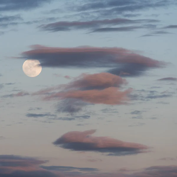 Bone Moon II