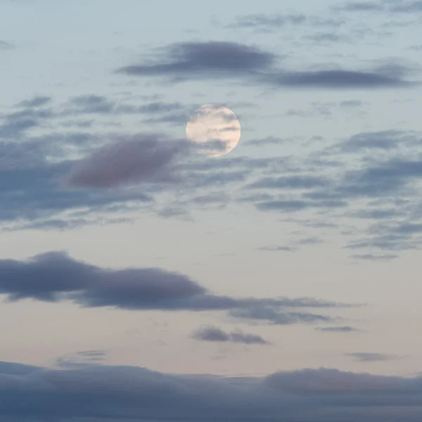 Bone Moon IV