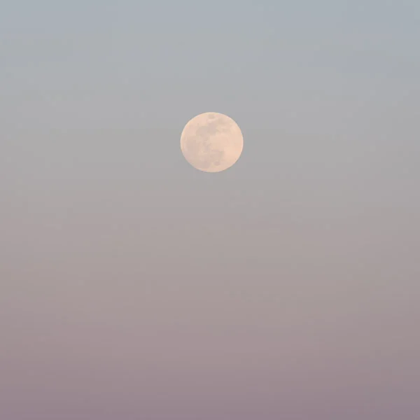 Moon of Wakening I