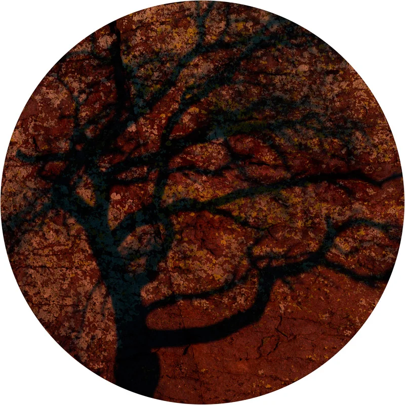 Untitled #22