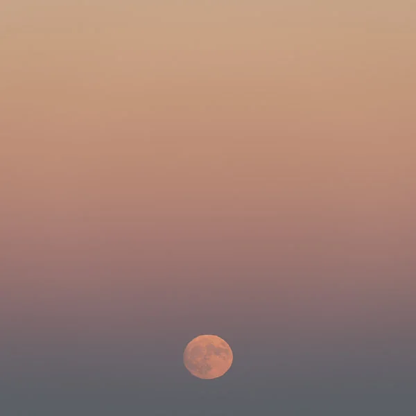 Mourning Moon III