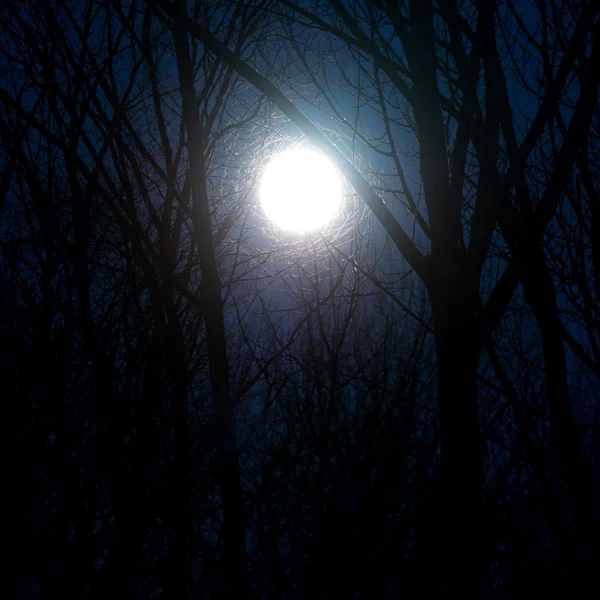 Mourning Moon I