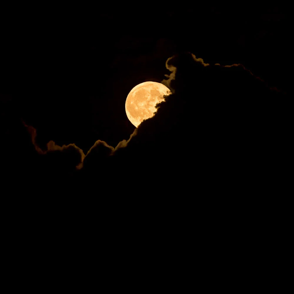 16-Moon-When-Cherries-Turn-Black-I-Jim-Nickelson.jpg