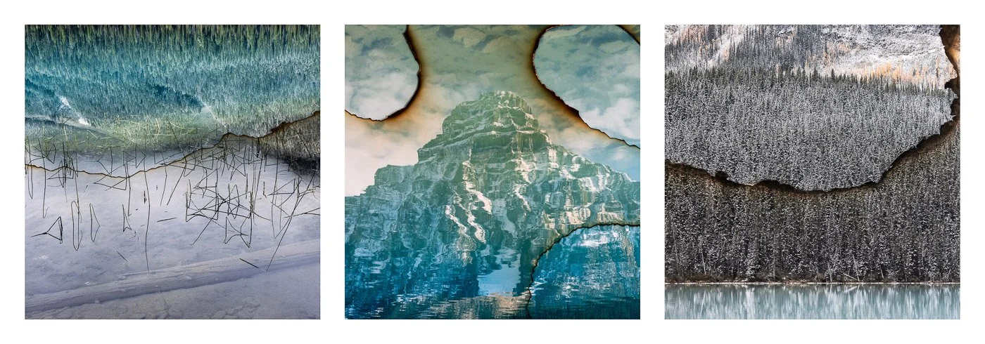 The Memory of Nature XV-XVII (Copy)