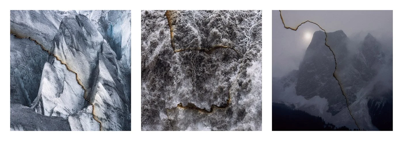 The Memory of Nature XXI-XXIII (Copy)