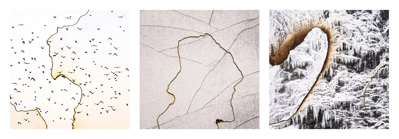 The Memory of Nature III-V (Copy)