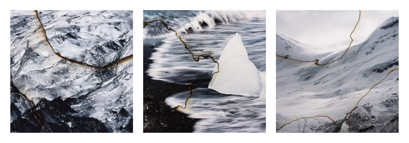 The Memory of Nature X-XII (Copy)