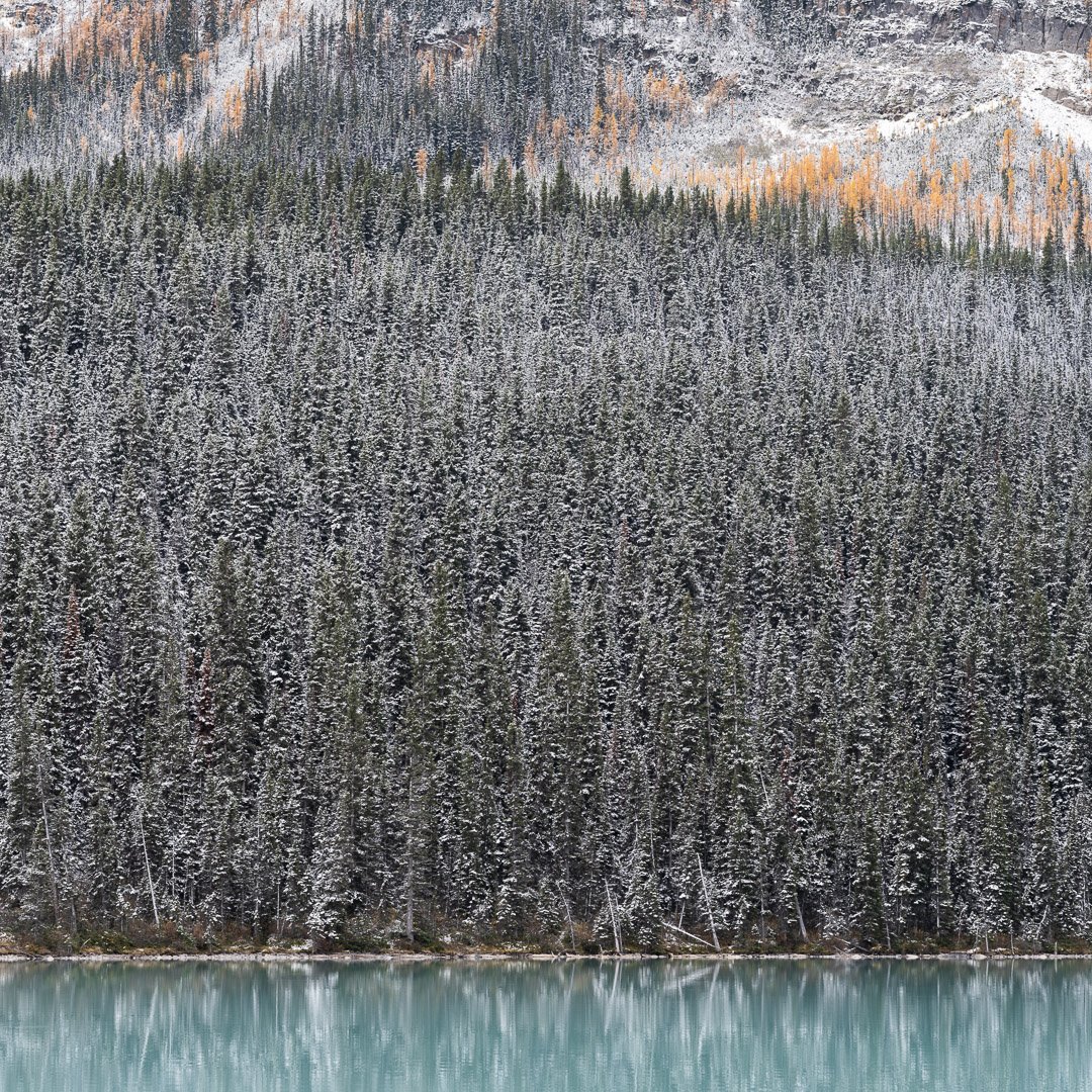Lake Louise, Banff National Park, Alberta, Canada, 2019