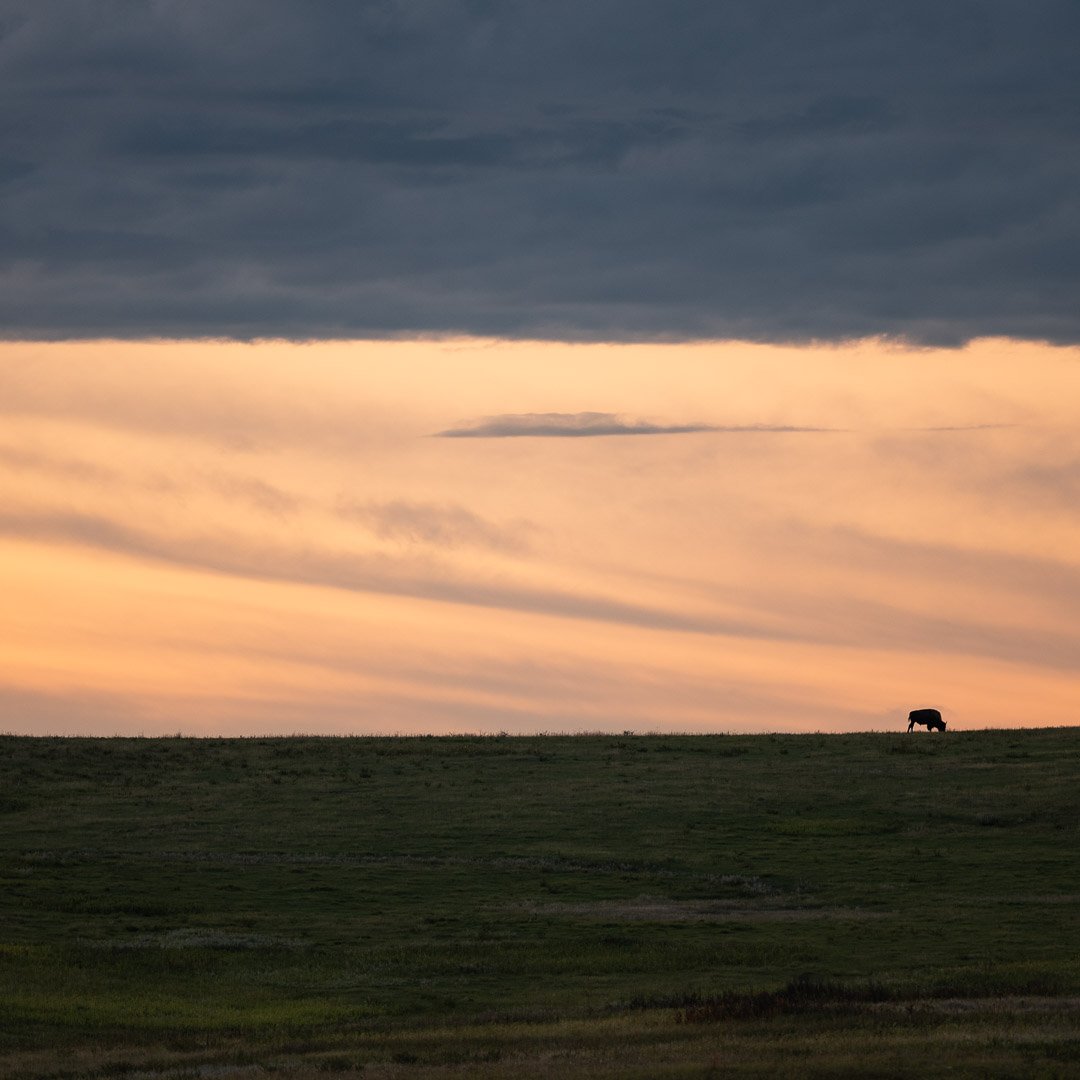 Theodore Roosevelt National Park, North Dakota, 2019