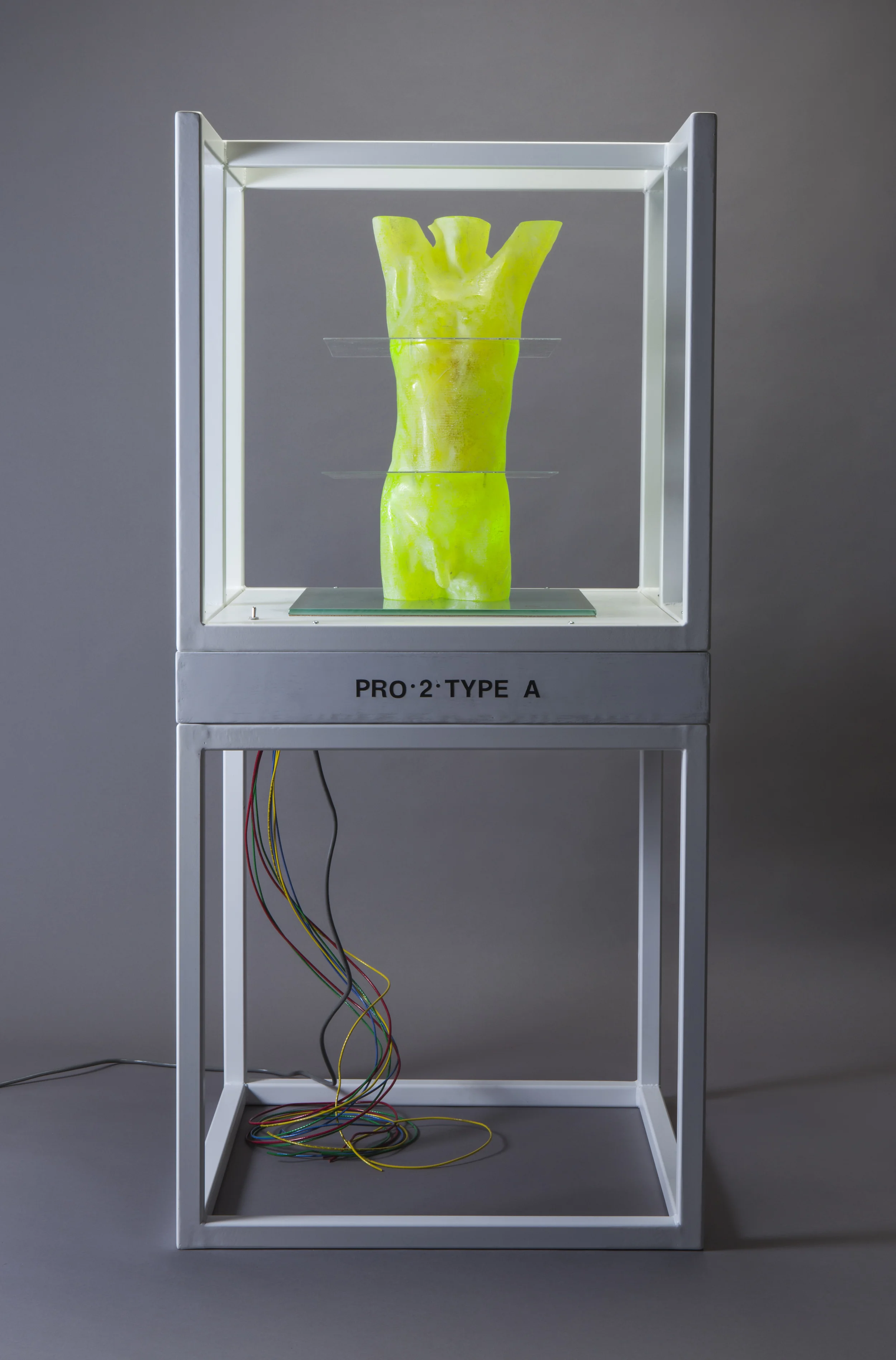 artwork by Clifford Rainey