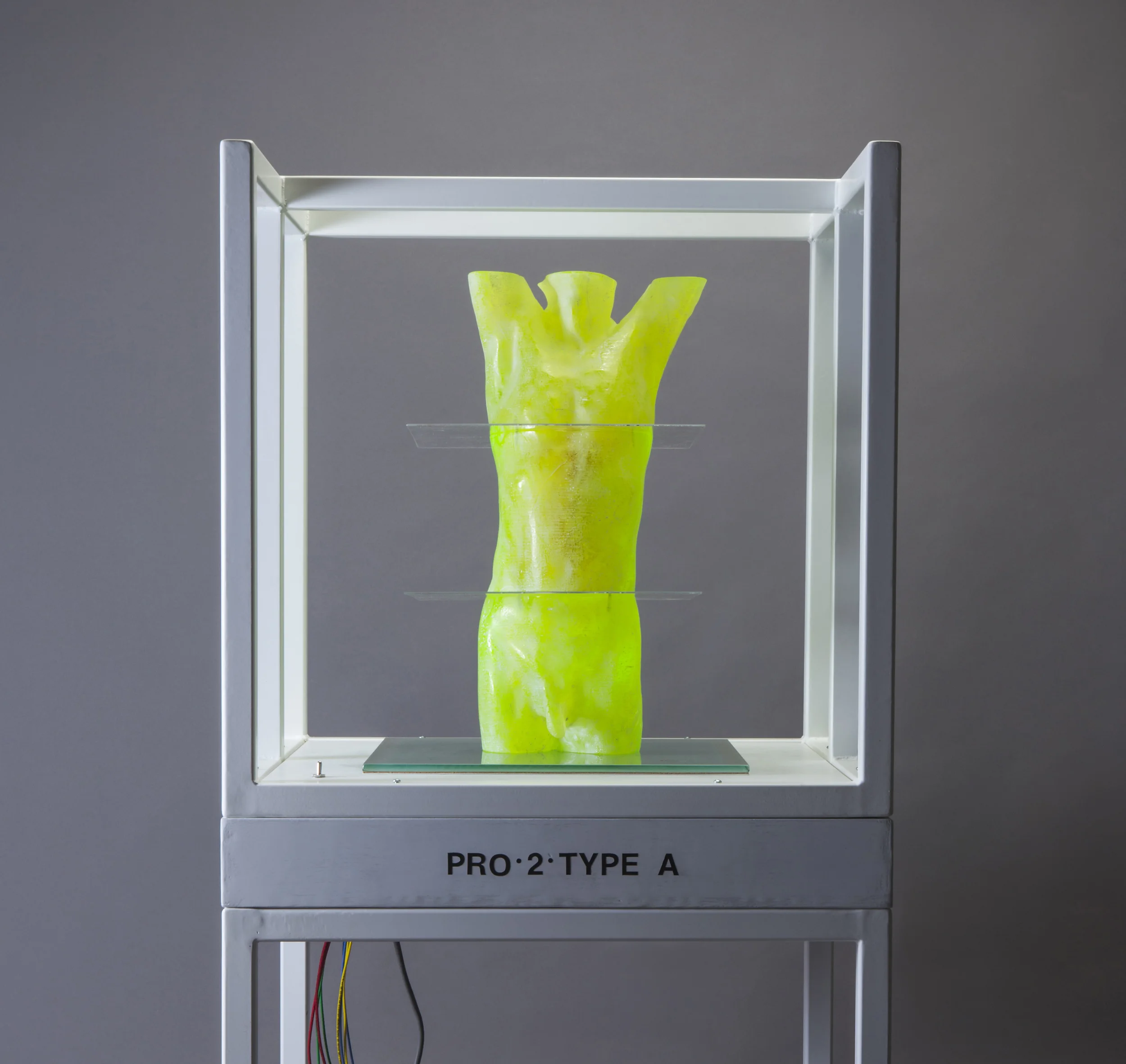 artwork by Clifford Rainey