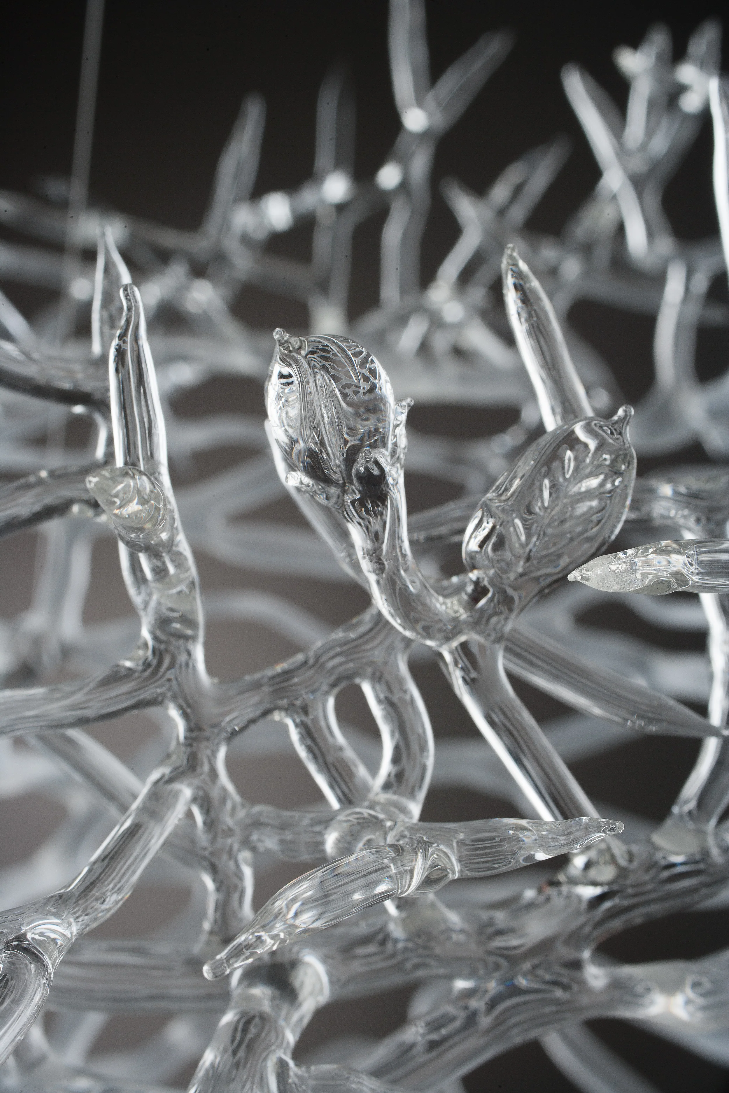 Arctic Cyclone detail 2.jpg