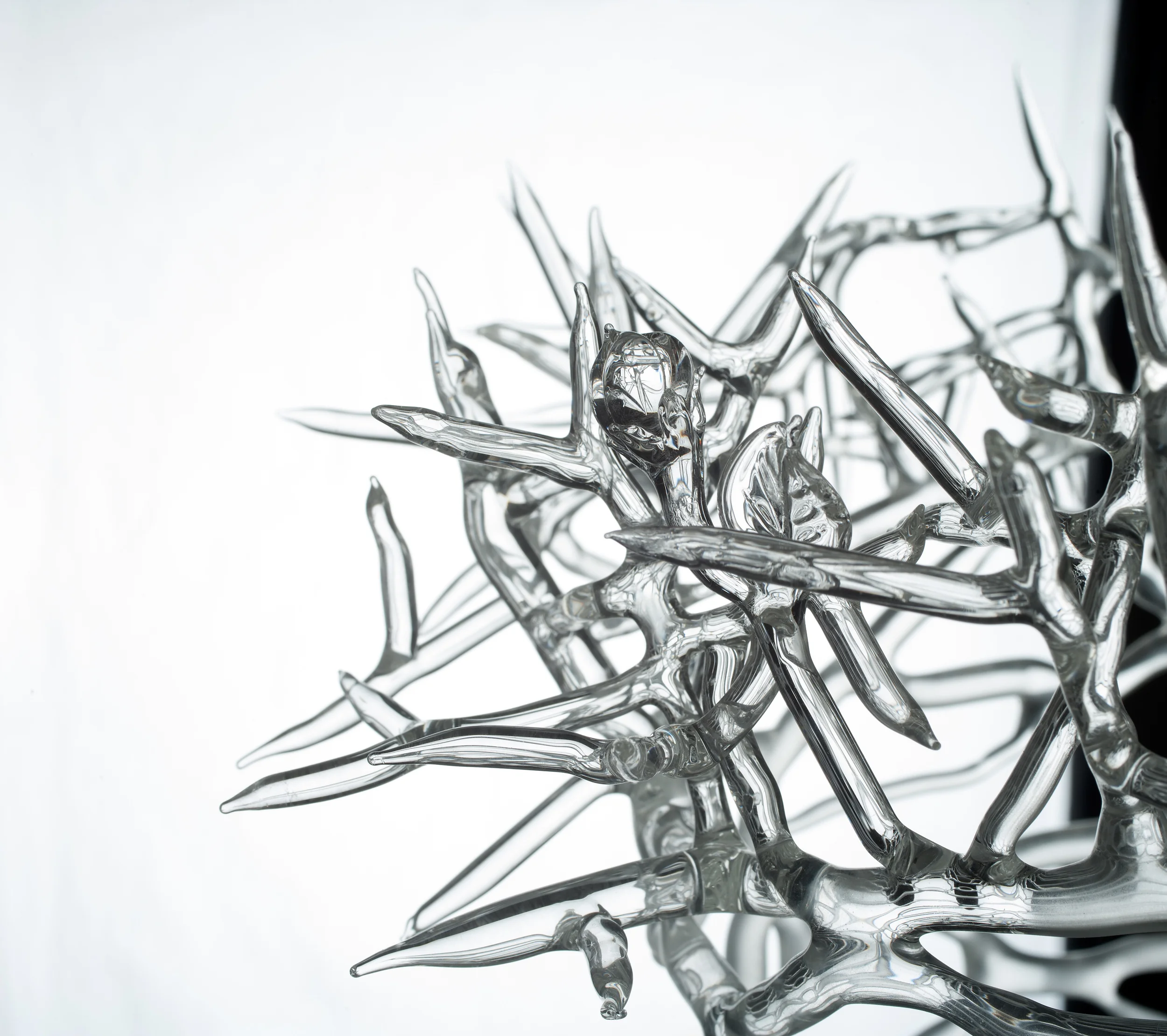 Arctic Cyclone detail 5.jpg