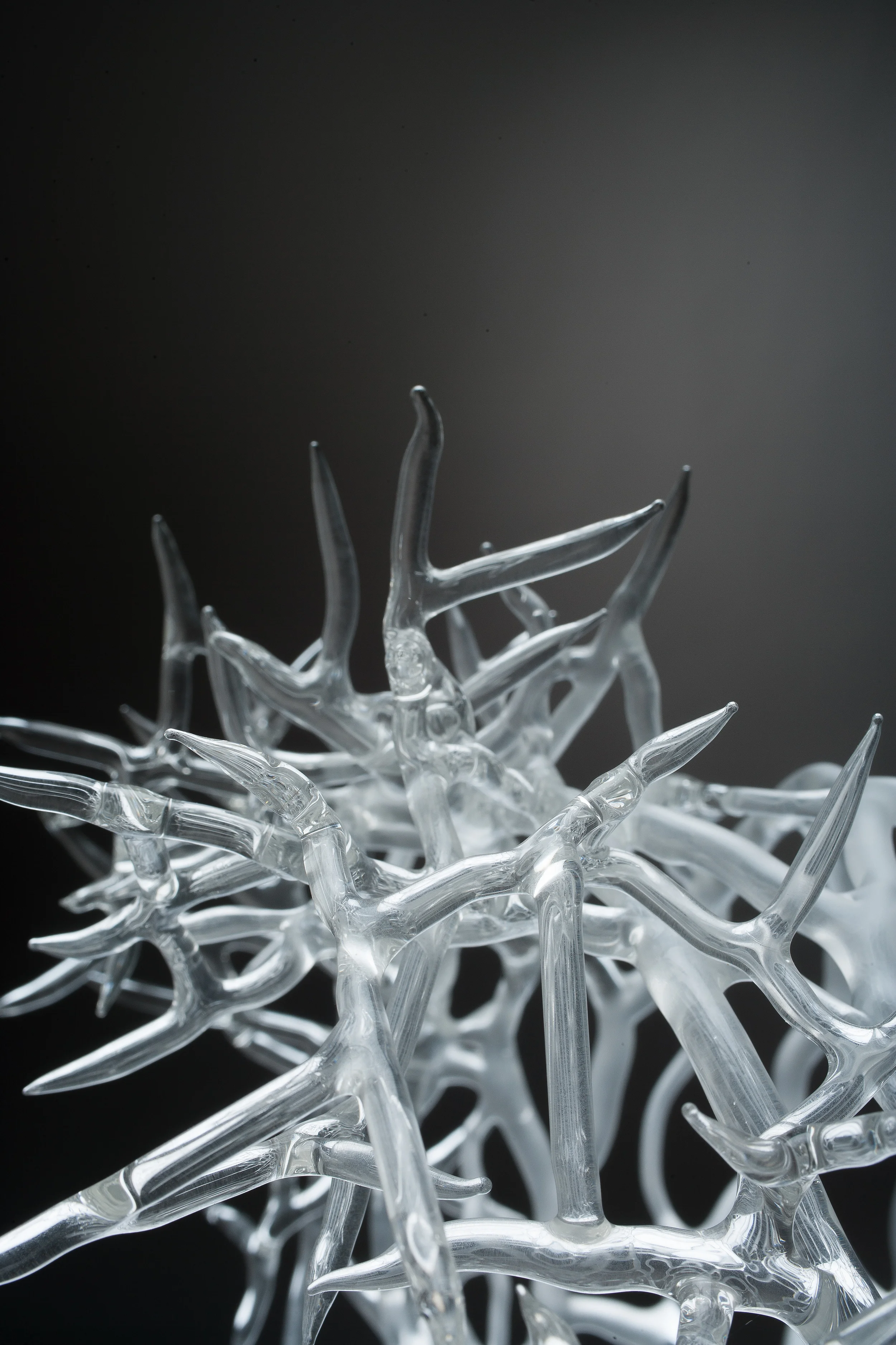 Arctic Cyclone detail 4.jpg