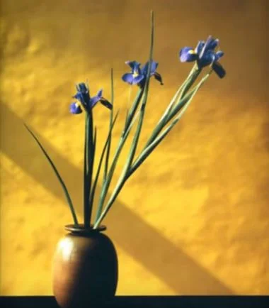 Robert Mapplethorpe. Courtesy of YouTube.
