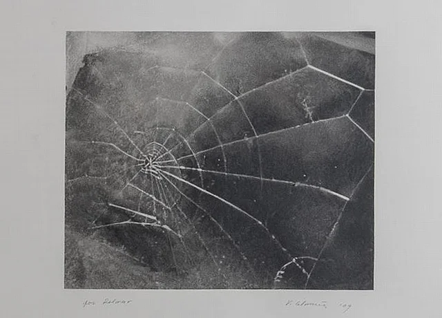 "Spiderweb, for Lincoln Center/List Art Program," by Vija Celmins, 2009, screenprint on black wove paper, Stair Galleries (December 2014)
