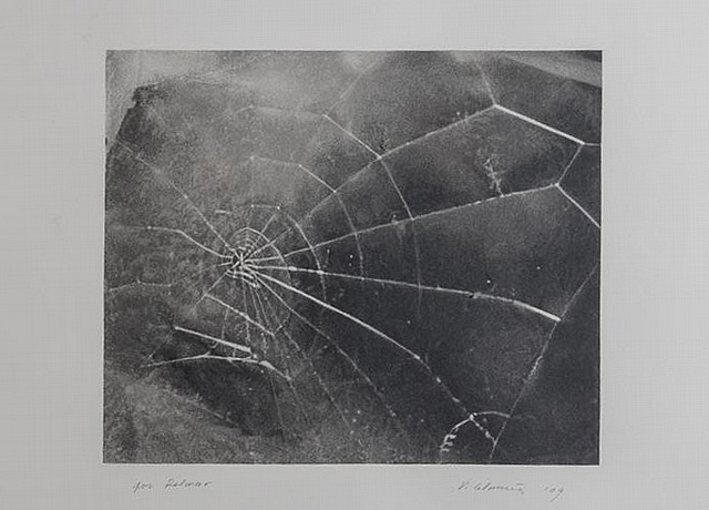 " Spiderweb, for Lincoln Center/List Art Program ," by Vija Celmins, 2009, screenprint on black wove paper, Stair Galleries (December 2014)