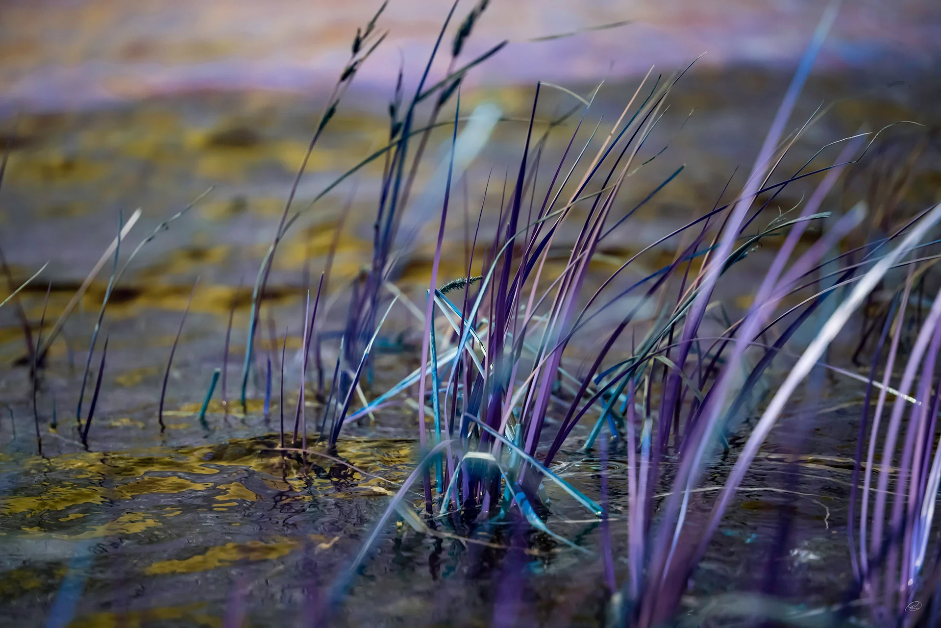 Prismatic Sierra 1947