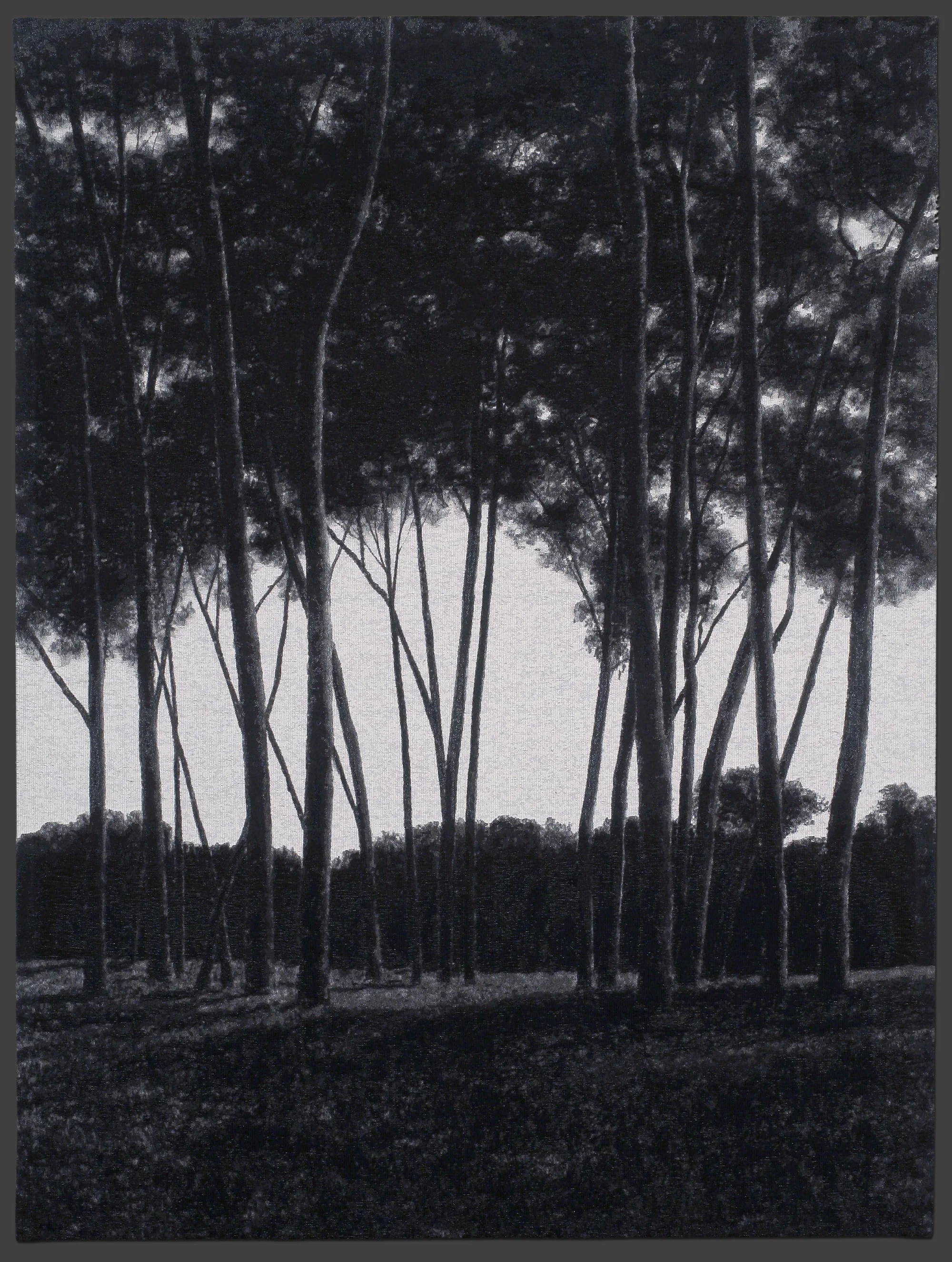 April_Gornik_Bower.jpg