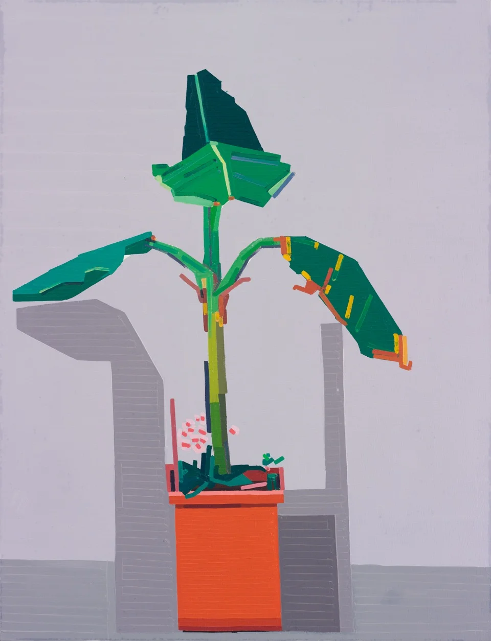 Guy Yanai. End of Europe (Plant in Corner), 2015