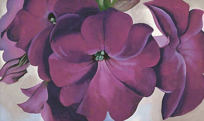 Georgia O’Keeffe, Petunias, 1925. Image via Wikimedia Commons.