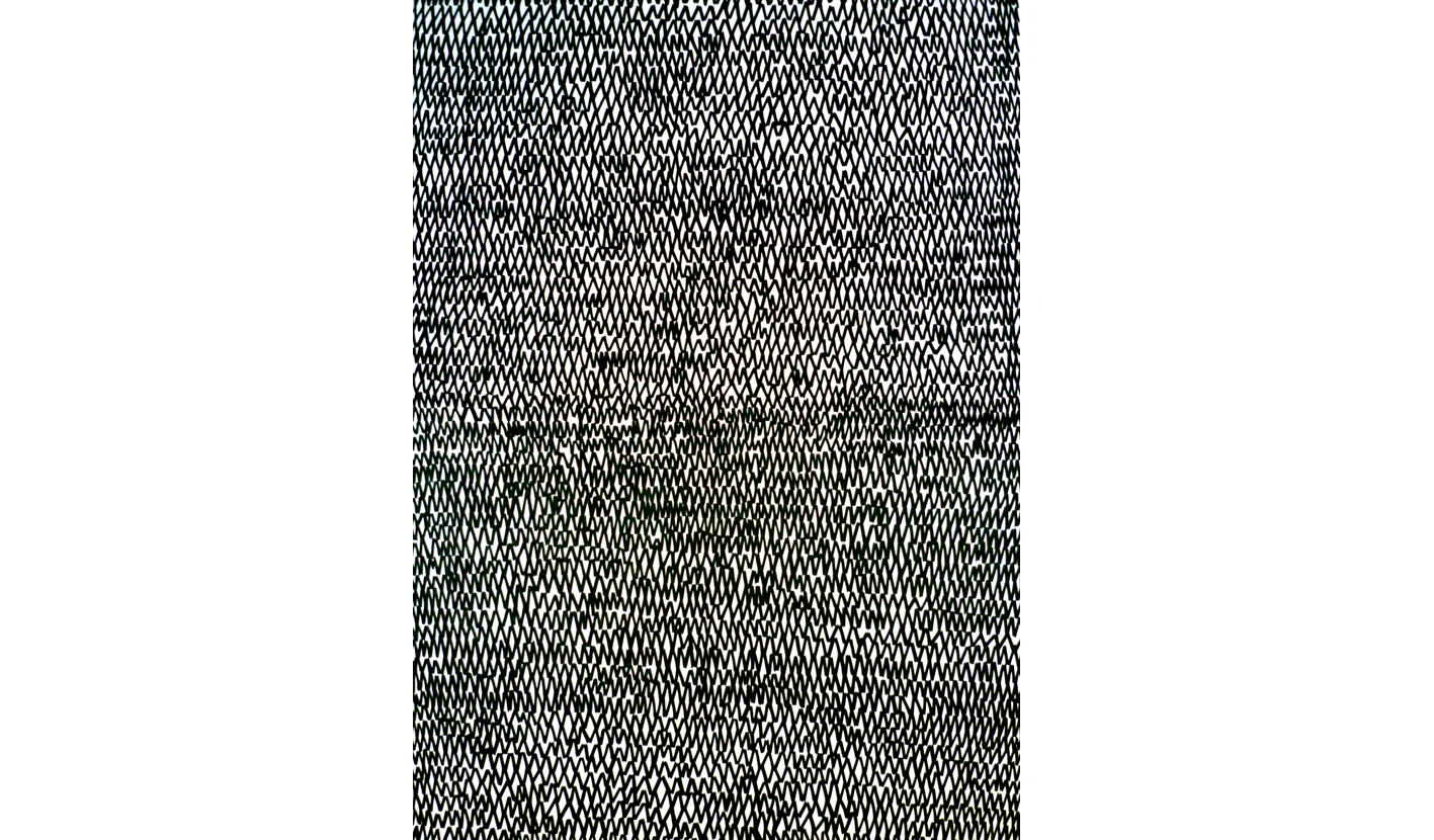 Untitled, 2010, color pencil on paper, 58 x 40 in. 