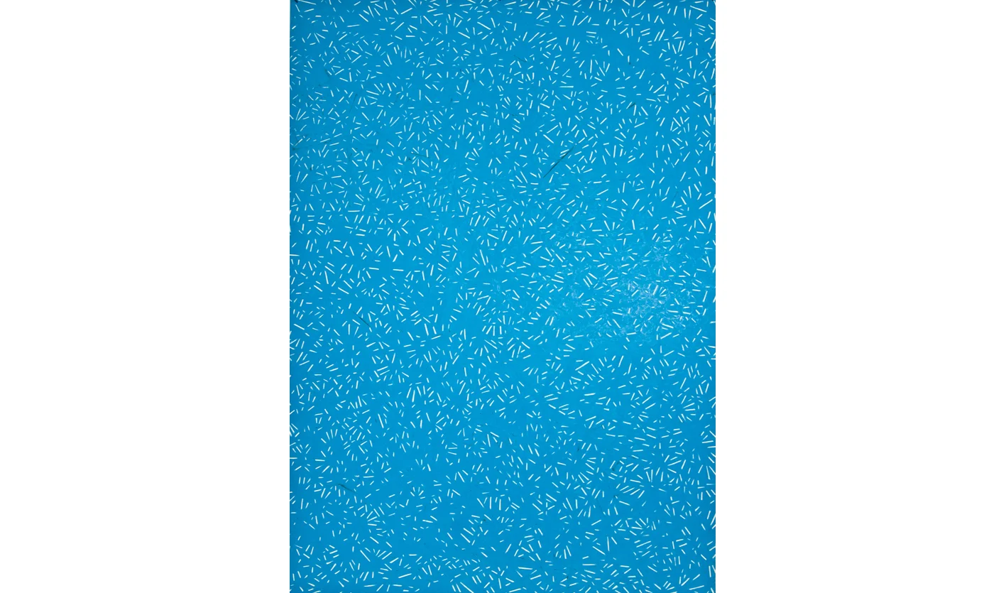 Untitled, 2011, color pencil on paper, 19 1/2 x 15 in.