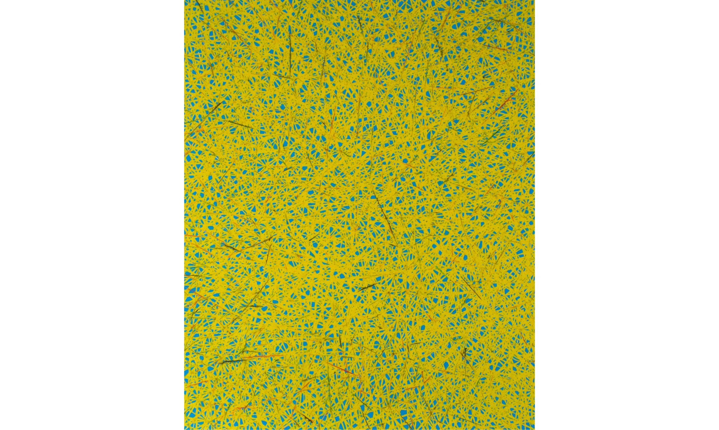 Untitled, 2009, color pencil on paper, 50 x 40 in.