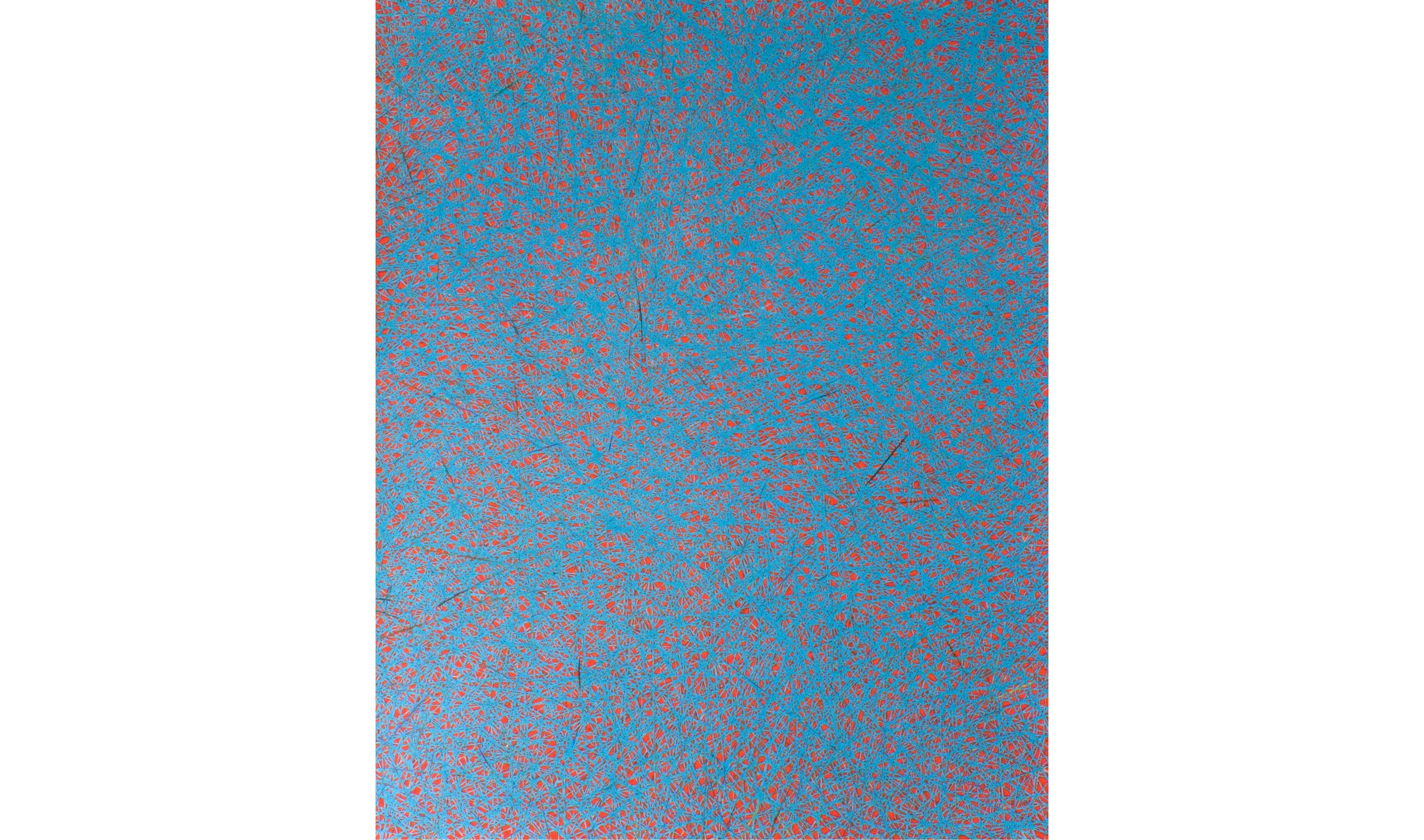 Untitled, 2009, color pencil on paper, 50 x 40 in.