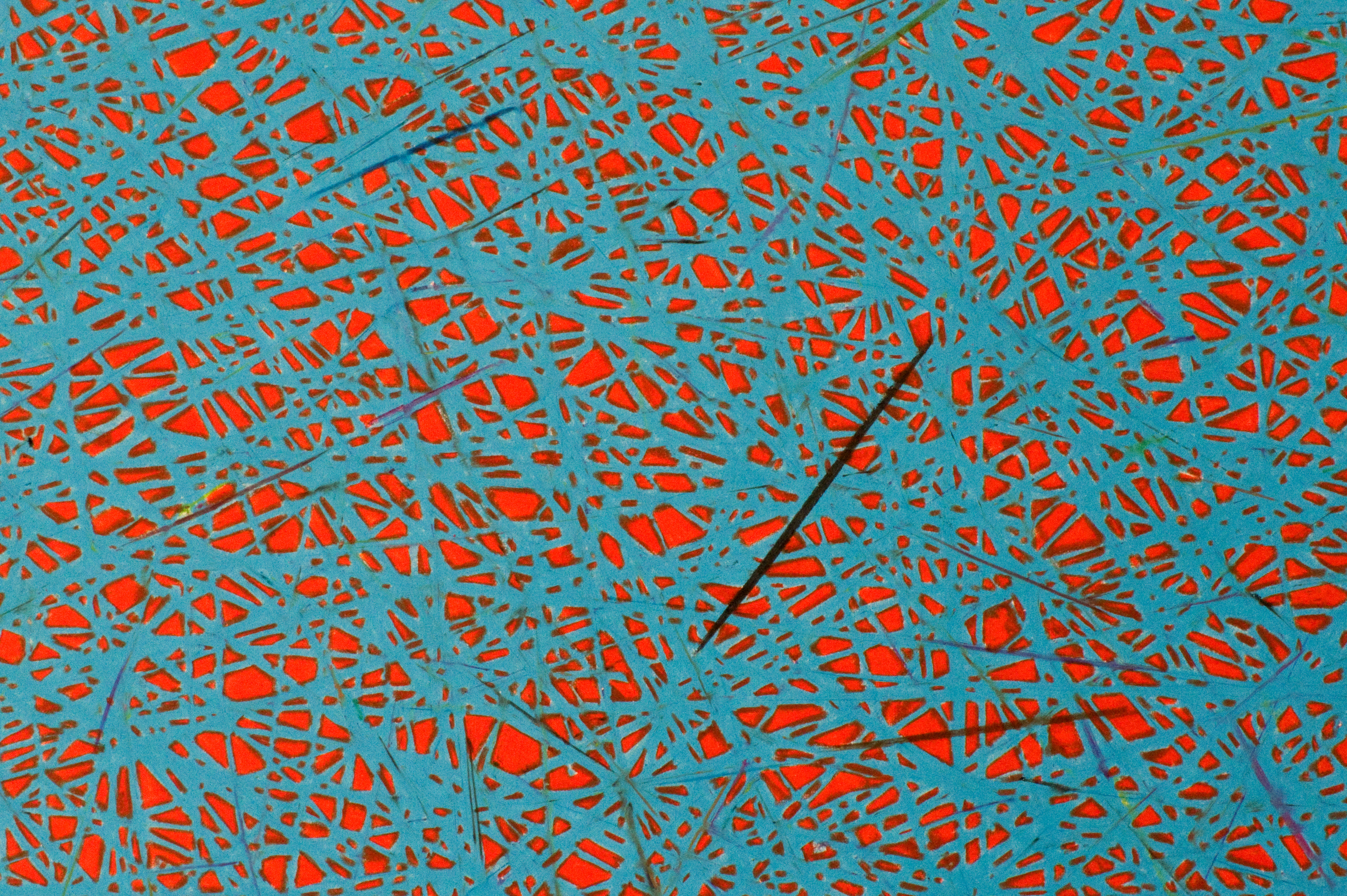 Untitled, 2009, color pencil on paper, DETAIL