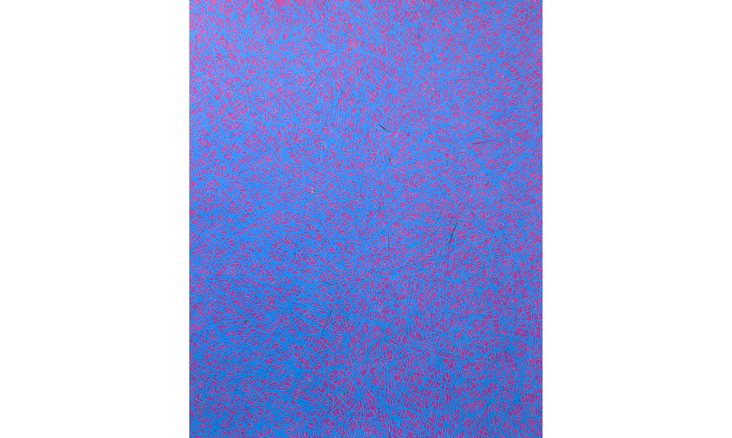 Untitled, 2009, color pencil on paper, 50 x 40 in.