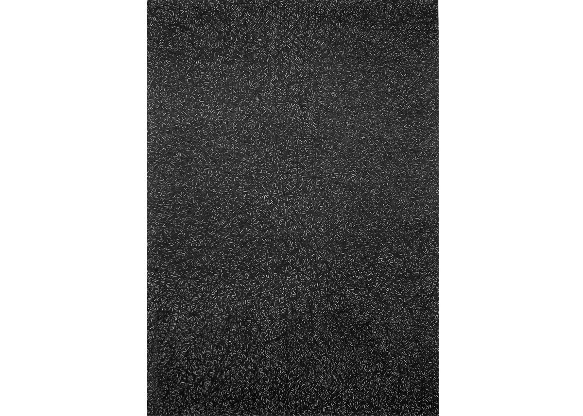 Untitled, 2010, color pencil on paper, 58 x 40 in. 