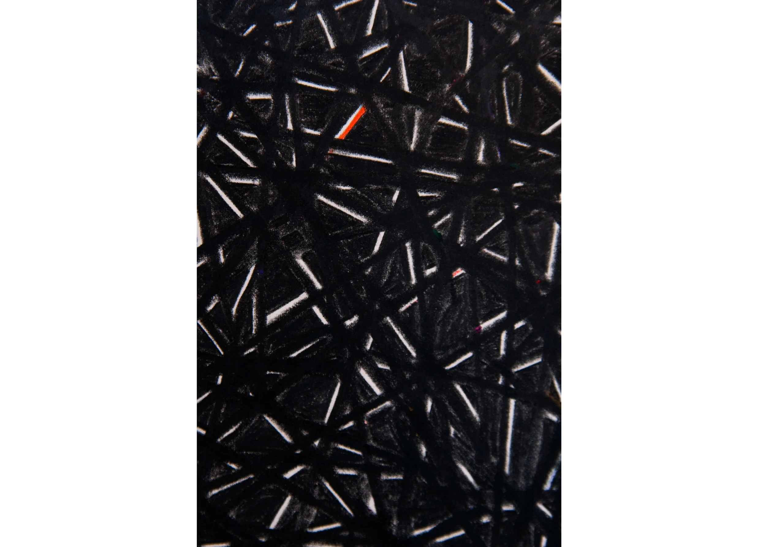 Untitled, 2010, color pencil on paper, DETAIL