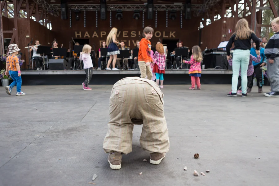  Haapavesifolk 2014, kuva/photo Sanna Krook. 