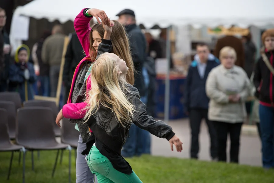  Suo. Haapavesifolk 2014, kuva/photo Sanna Krook. 