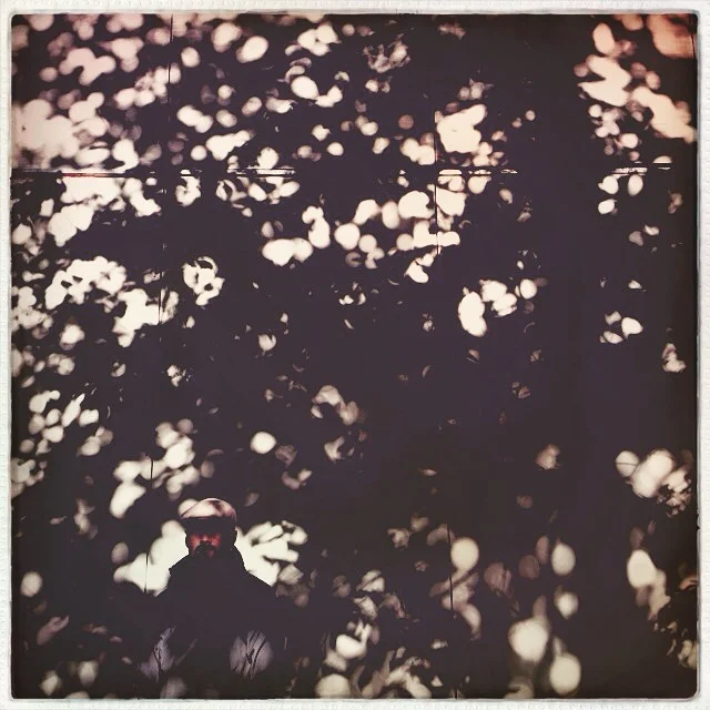 Iphonekuvat_Sanna Krook005.JPG