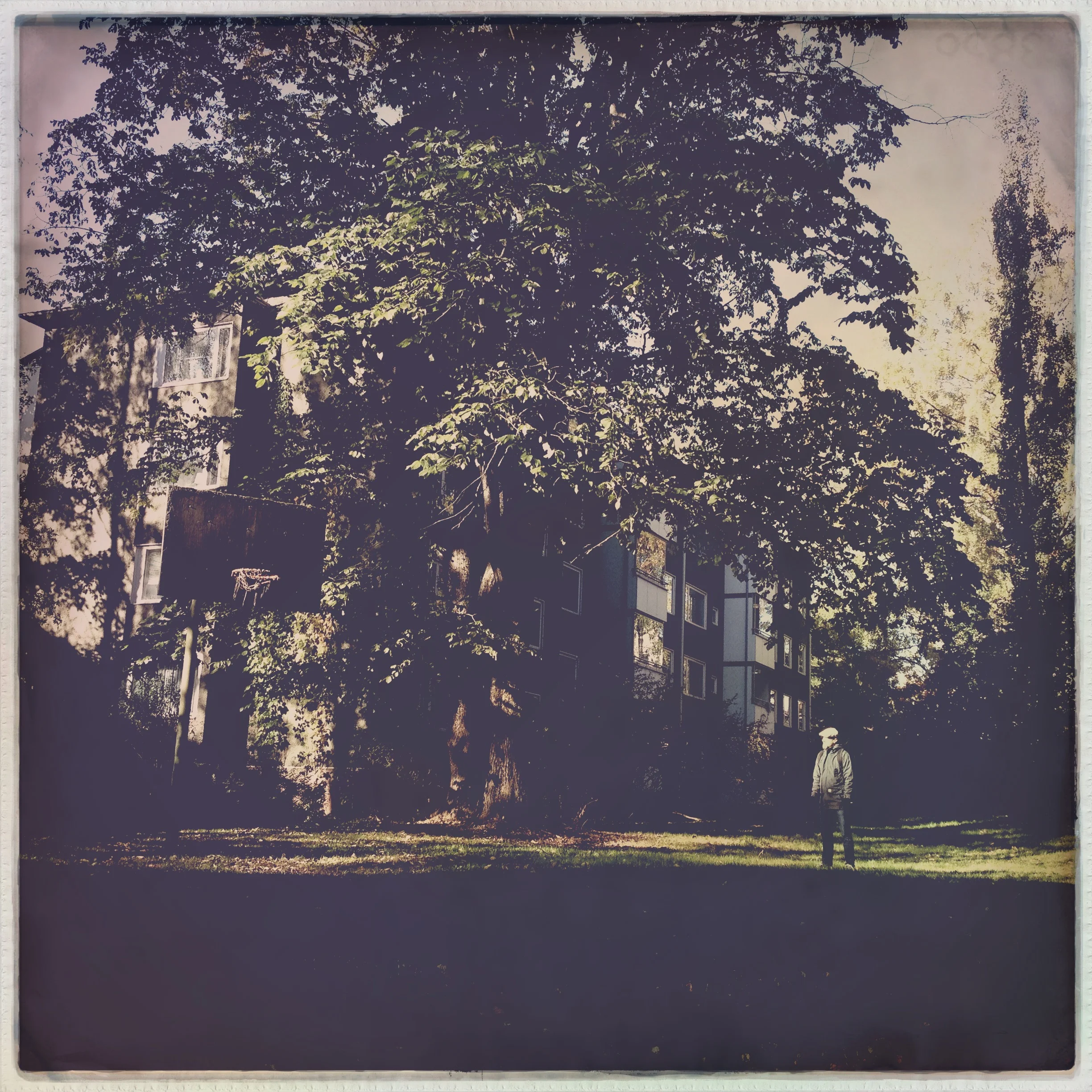 Iphonekuvat_Sanna Krook008.JPG