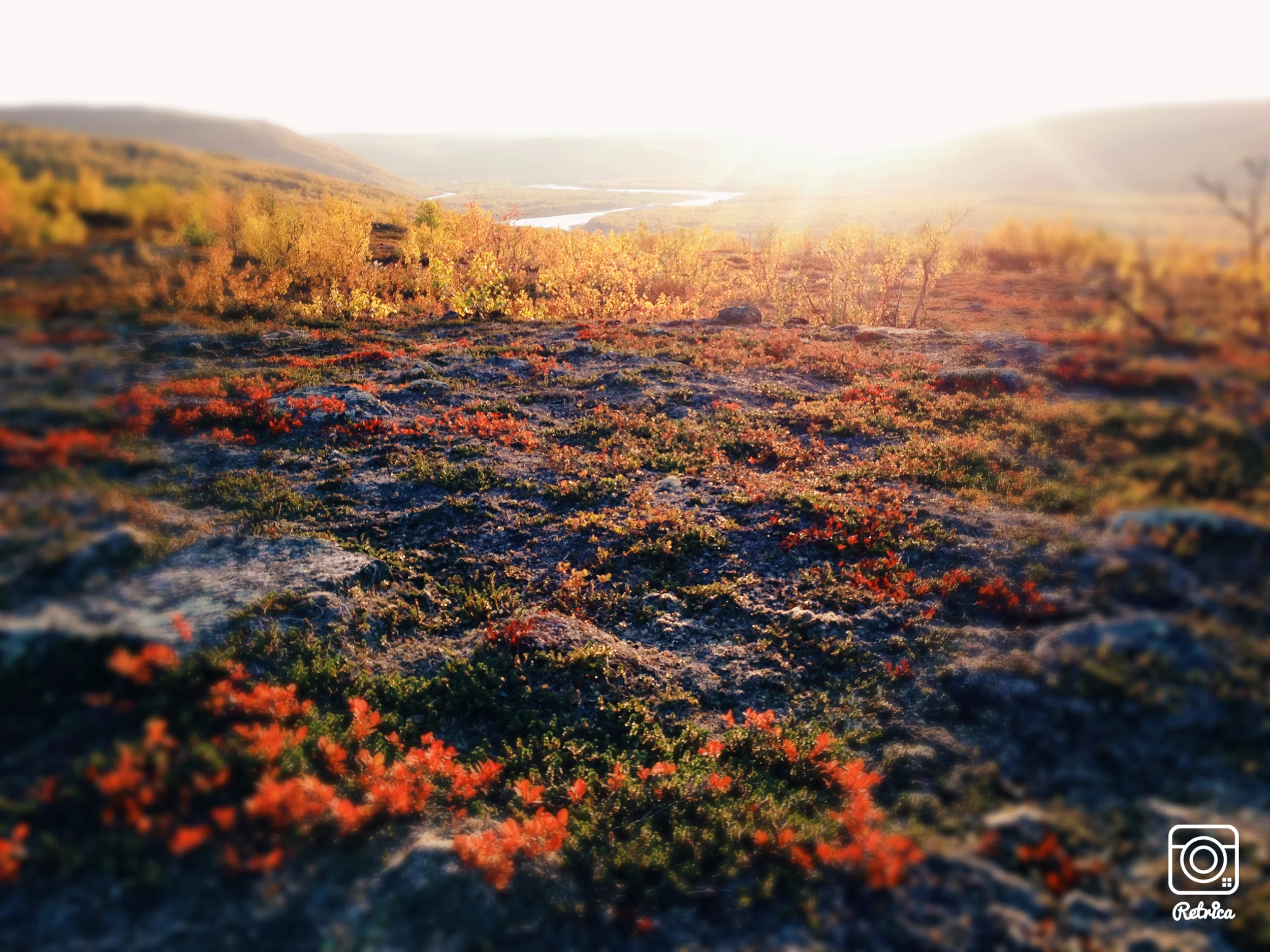 Iphonekuvat_Sanna Krook014.JPG