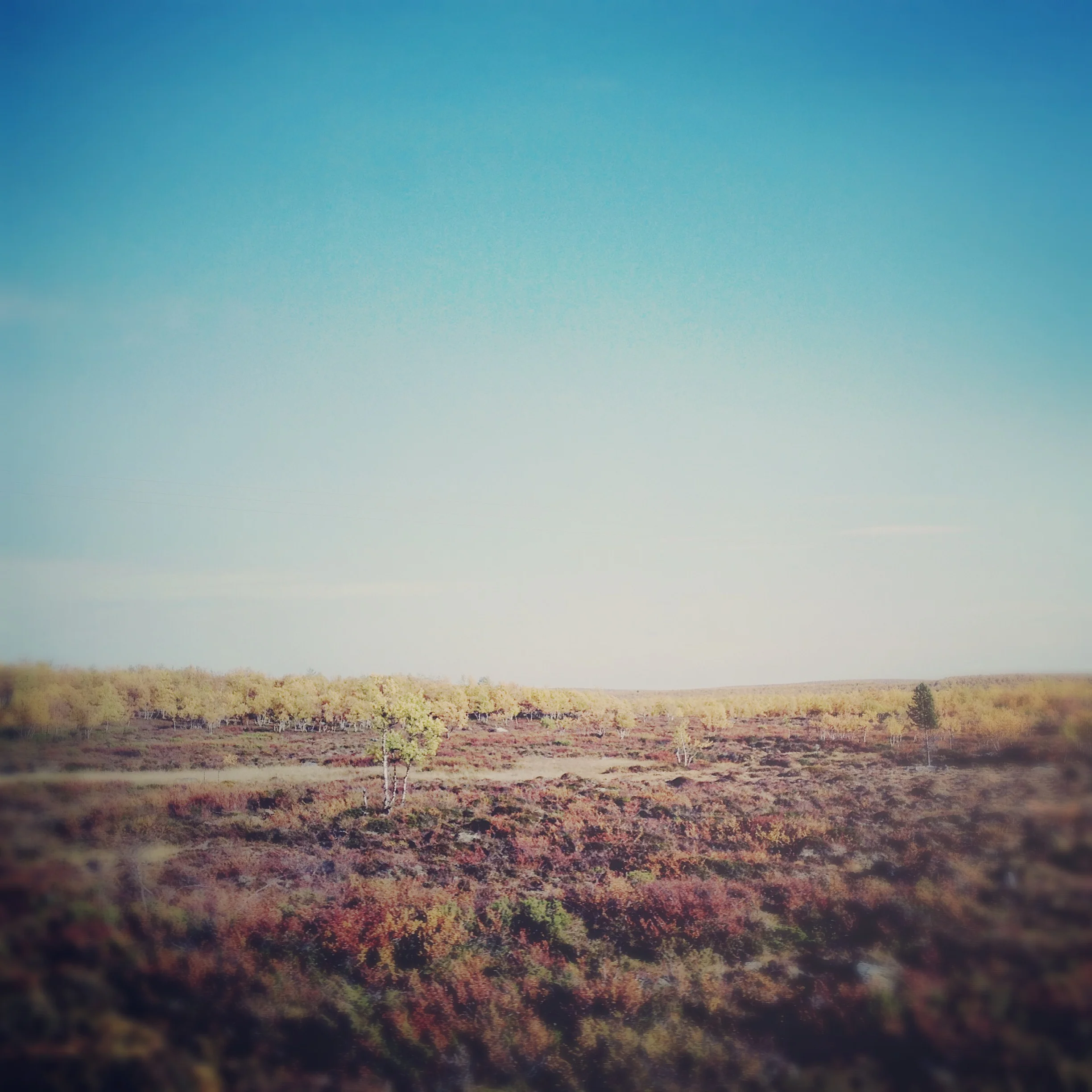 Iphonekuvat_Sanna Krook016.JPG