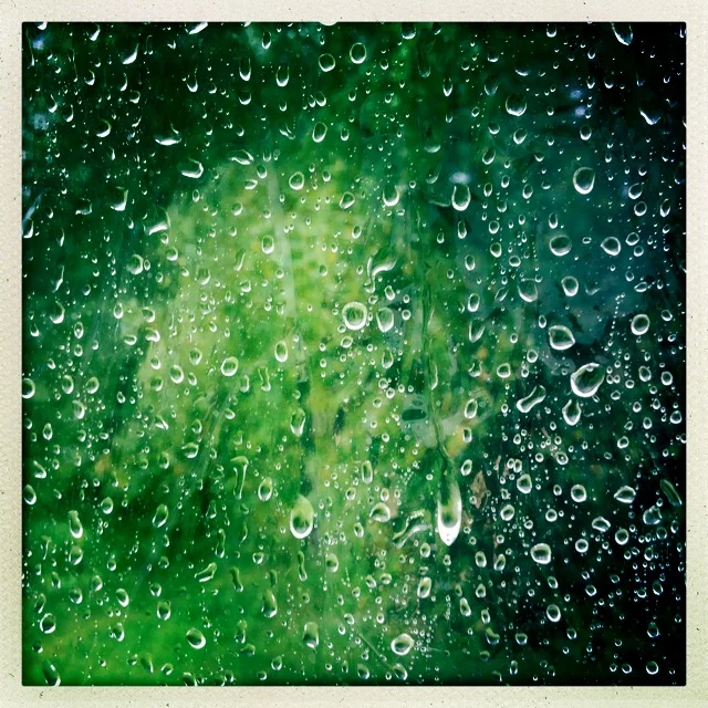 Iphonekuvat_Sanna Krook018.JPG