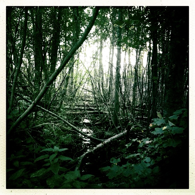 Iphonekuvat_Sanna Krook019.JPG