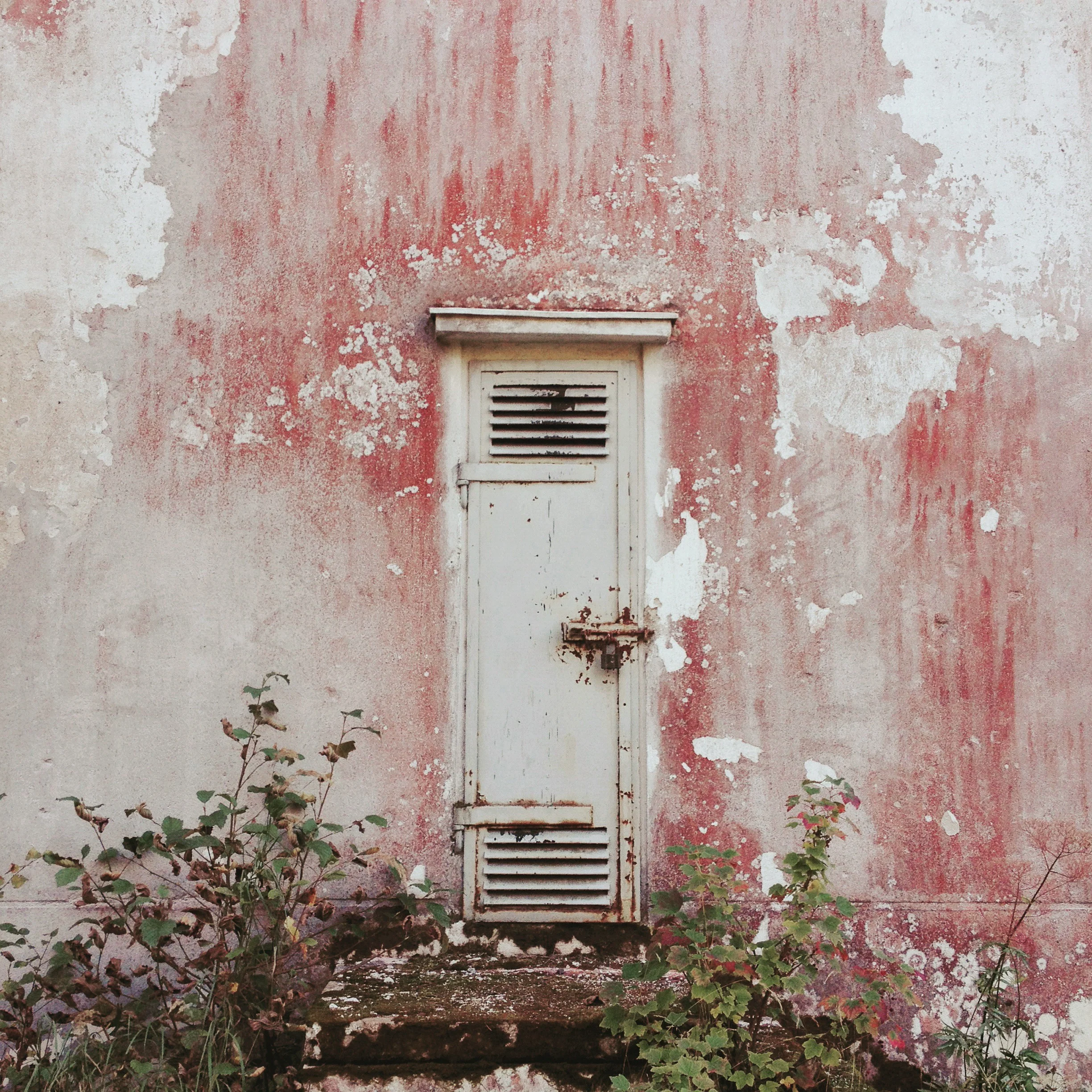 Iphonekuvat_Sanna Krook022.JPG