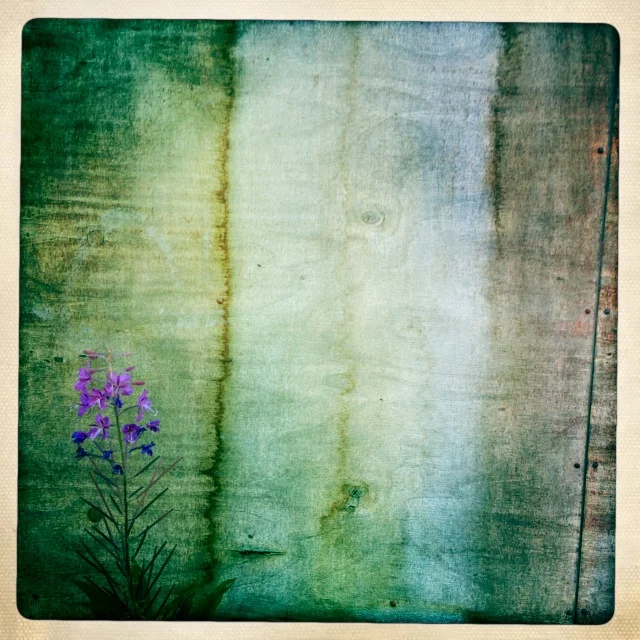 Iphonekuvat_Sanna Krook034.JPG