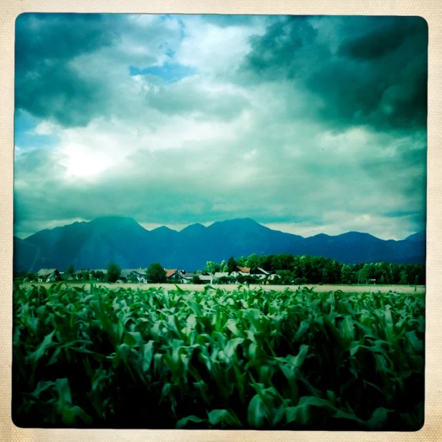 Iphonekuvat_Sanna Krook044.JPG